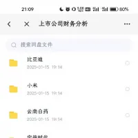 【自动秒发】上市公司财务分析成品案例任一份_财务报表分析模版