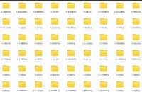 100个专业大学生职业生涯规划书word范文