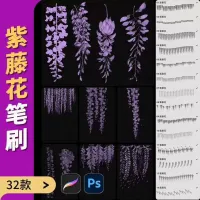 32款procreate笔刷ps笔刷紫藤花藤蔓植物漫画手绘花