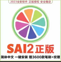 SAI2绘画软件中文正版赠3600款笔刷纹理素材下载远程安装