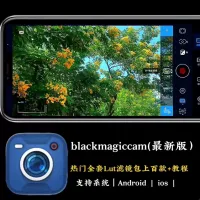 BlackmagicCam_Lut调色滤镜包+导入教程