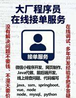 Java_Python项目代做调试程序bug调试，Java代