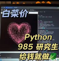 Python编程代做，深度学习与视觉识别python各种代码