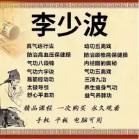 李少波老师真气运行法系列课程视频电子书赠品多多