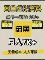 【秒发】_闲鱼咸鱼虚拟资料，单日100-800+，零基础