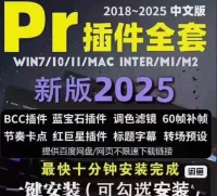【自动发货】pr2025可用插件+全套中文插件一键安装win