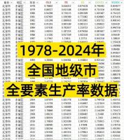 点击放大 【秒发】1978-2024年全国300+城市全要素生产率数据