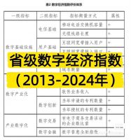 点击放大 【秒发】省级数字经济指数(2013-2024年)