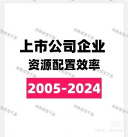 2005-2024年上市公司企业资源配置效率(Richard