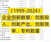 点击放大 (1999-2024)企业创新数据:创新投入、创新产出、创新