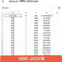 数据源提供：1995-2024年转移支付1995-2024年