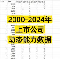 【秒发】2000-2024年_上市公司-动态能力数据