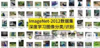ImageNet-2012数据集_深度学习图像分类识别