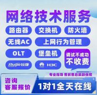网络设备调试远程调试华为，华三，思科，锐捷，交换机，路由器，