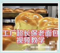 长保手撕老面包配方_工厂级长保技术_超详细视频_+_文字教程