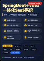 SpringBoot+Vue3_SaaS系统_企业级全栈实战