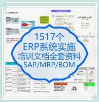 SAP_ERP_实施全套资料_业务流程选型_MRP_物料编码