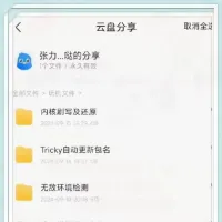 全机型通用_TWRP_一键刷入_过_ROOT_检测_防格_隐