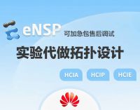 eNSP拓扑实验搭建网络规划排错远程协助eNSP实验拓扑规划