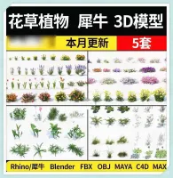 5_套花草植物_3D_模型_C4DBlenderRhin