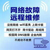 提供专业网络故障排查诊断及修复服务_处理各种网络疑难杂症