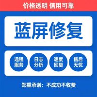 蓝屏故障深度诊断修复台式机笔记本电脑蓝屏修复故障诊断服务，电