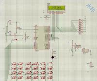 51_单片机电子琴程序_24_键_高中低_21_音_弹奏