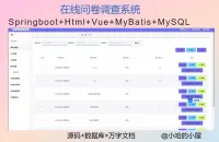 点击放大 Springboot问卷系统源码《已调试》基于Springb