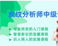 皮纹分析教程培训视频皮纹分析师资料，培训教程，中级，高级，详