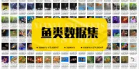 鱼类数据集(以_YOLOv11_格式精心注释)